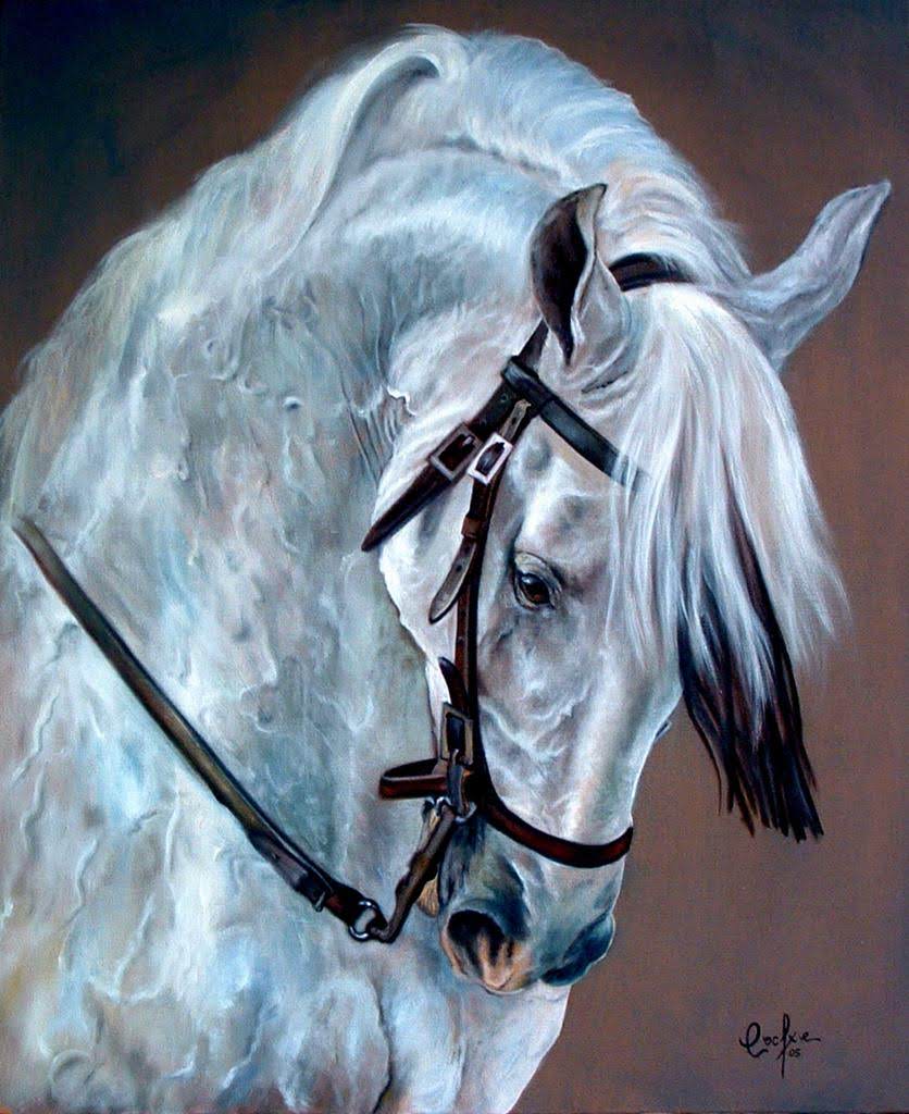 HORSES